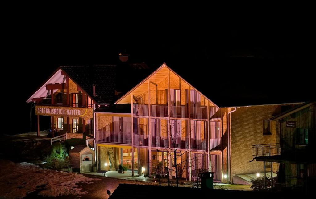 N Apartments Hotel Schoppernau Exterior photo